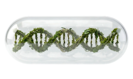 Intro Image