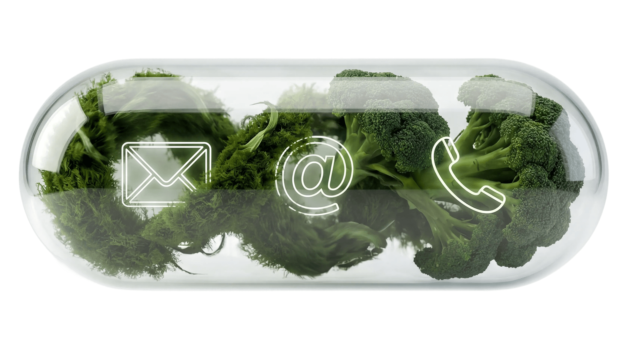 Intro Image