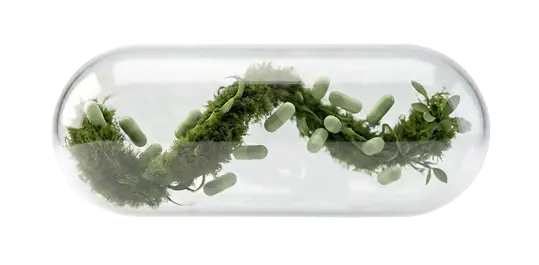 Intro image