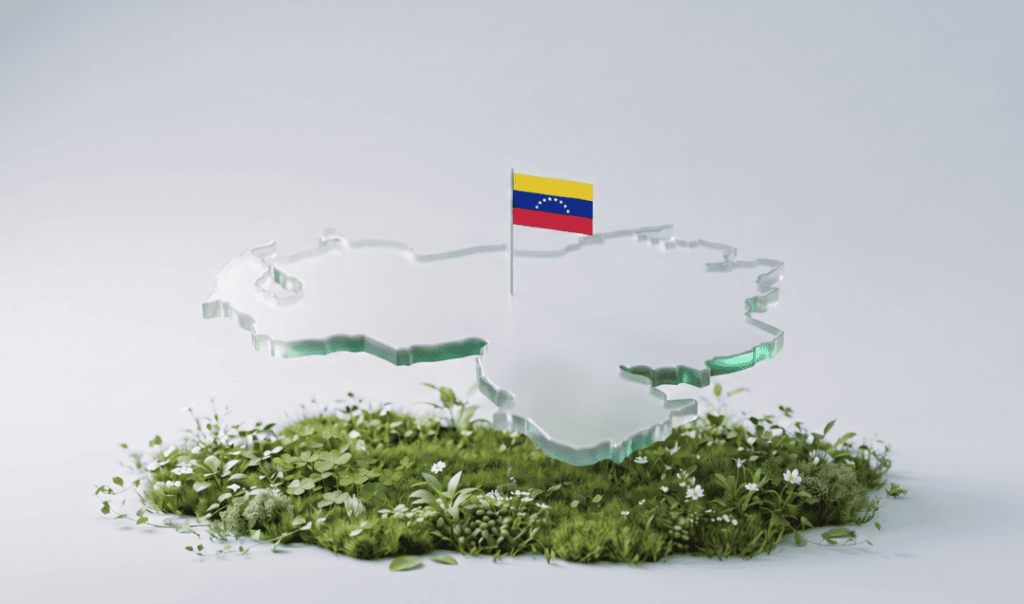Stylized map of Venezuela with its national flag, floating above a lush patch of grass and wildflowers.